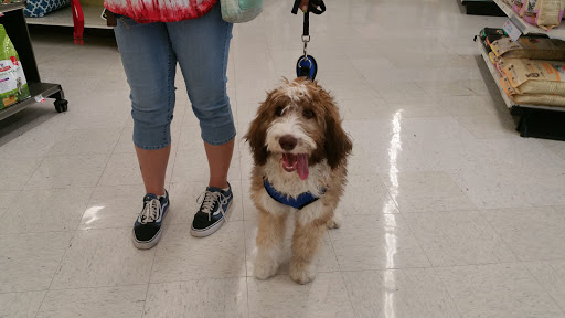 Pet Supply Store «Petco Animal Supplies», reviews and photos, 3384 Tyler St, Riverside, CA 92503, USA