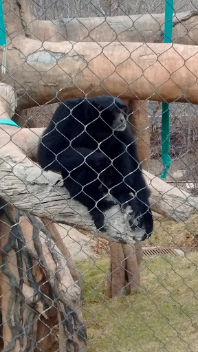 Zoo «Durhams Bear Canyon», reviews and photos, 3701 S 10th St, Omaha, NE 68107, USA