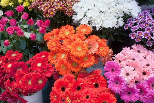Florist «Hudson Flower Shop», reviews and photos, 7422 FL-52, Hudson, FL 34667, USA