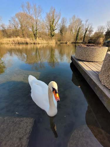 Rezensionen über Park im Grünen - Schöne Gärten in Reinach - Andere