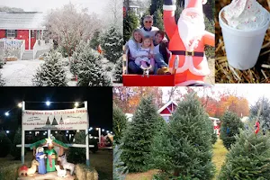 Neighbor Boy Farm, Country Store & Christmas Trees image