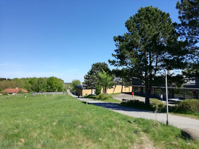 Grønnevang Skole Østervang