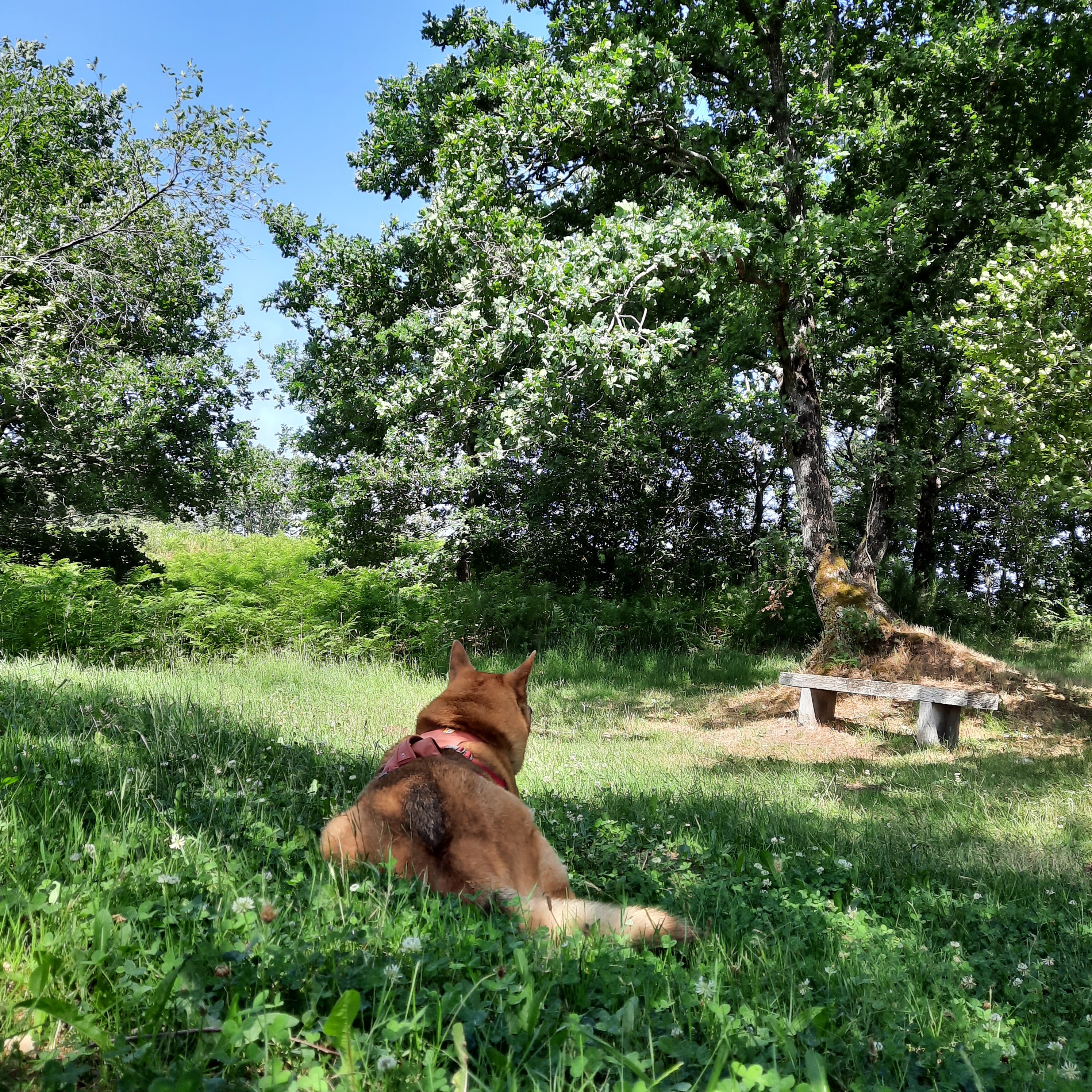 Photo n° 5 de l'avis de Béatrice.O fait le 15/06/2022 à 16:50