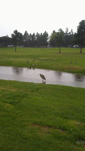 Golf Course «Bixby Village Golf Course», reviews and photos, 6180 Bixby Village Dr, Long Beach, CA 90803, USA