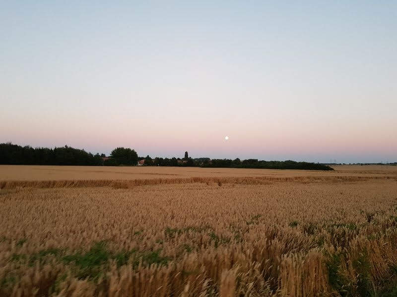 Photo n° 6 de l'avis de Thiry.h fait le 26/10/2018 à 16:26