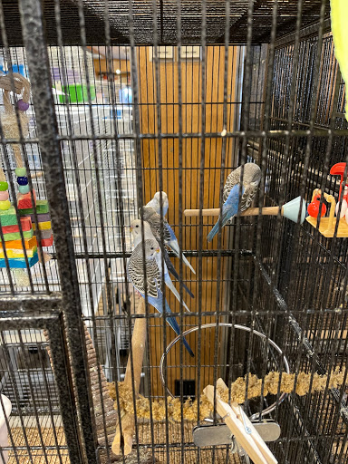 Pet Store «Miles of Exotics», reviews and photos, 8350 N Broadway, Kansas City, MO 64118, USA