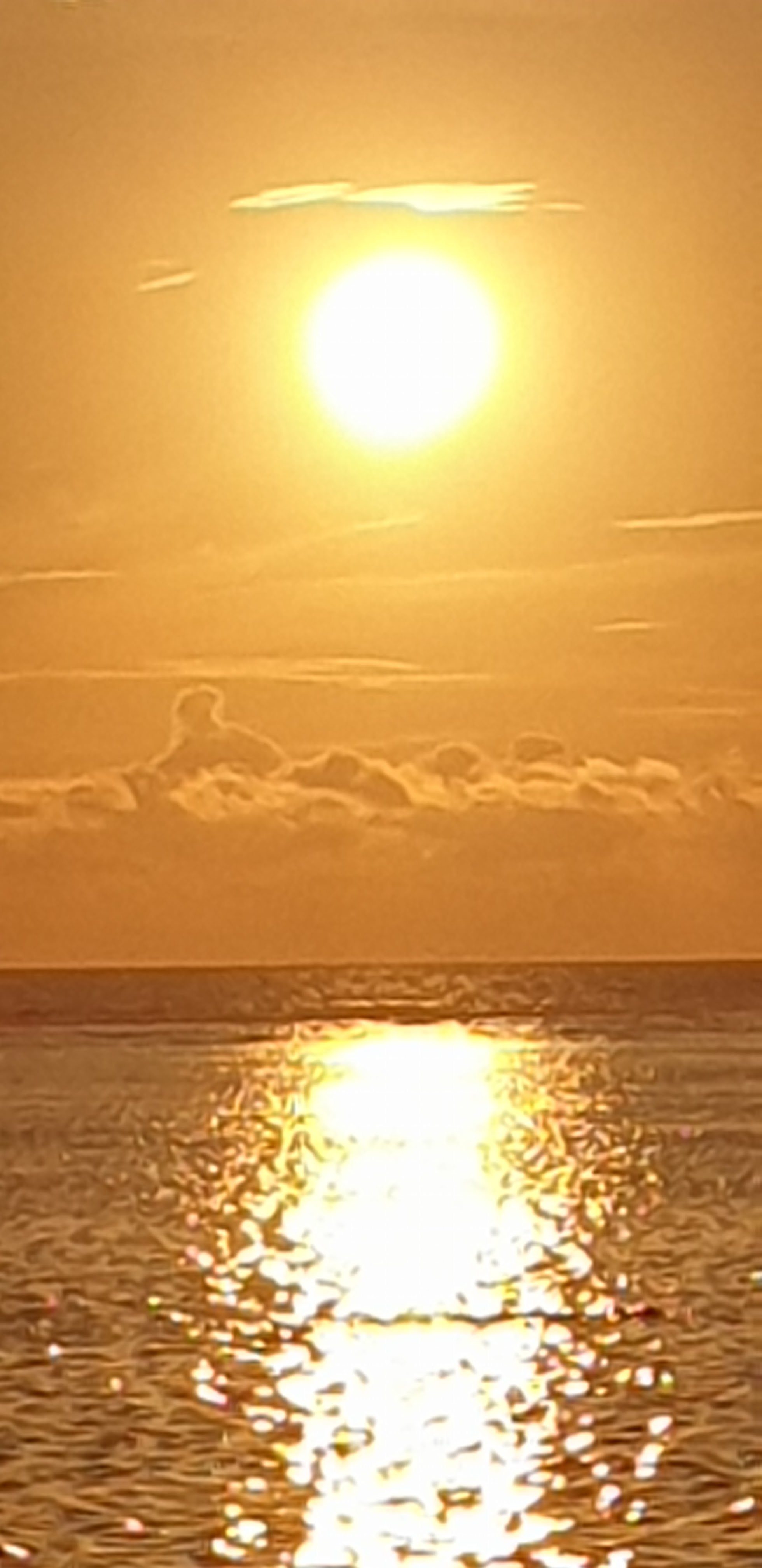 Photo n° 1 de l'avis de Marie-France.l fait le 12/11/2023 à 19:35