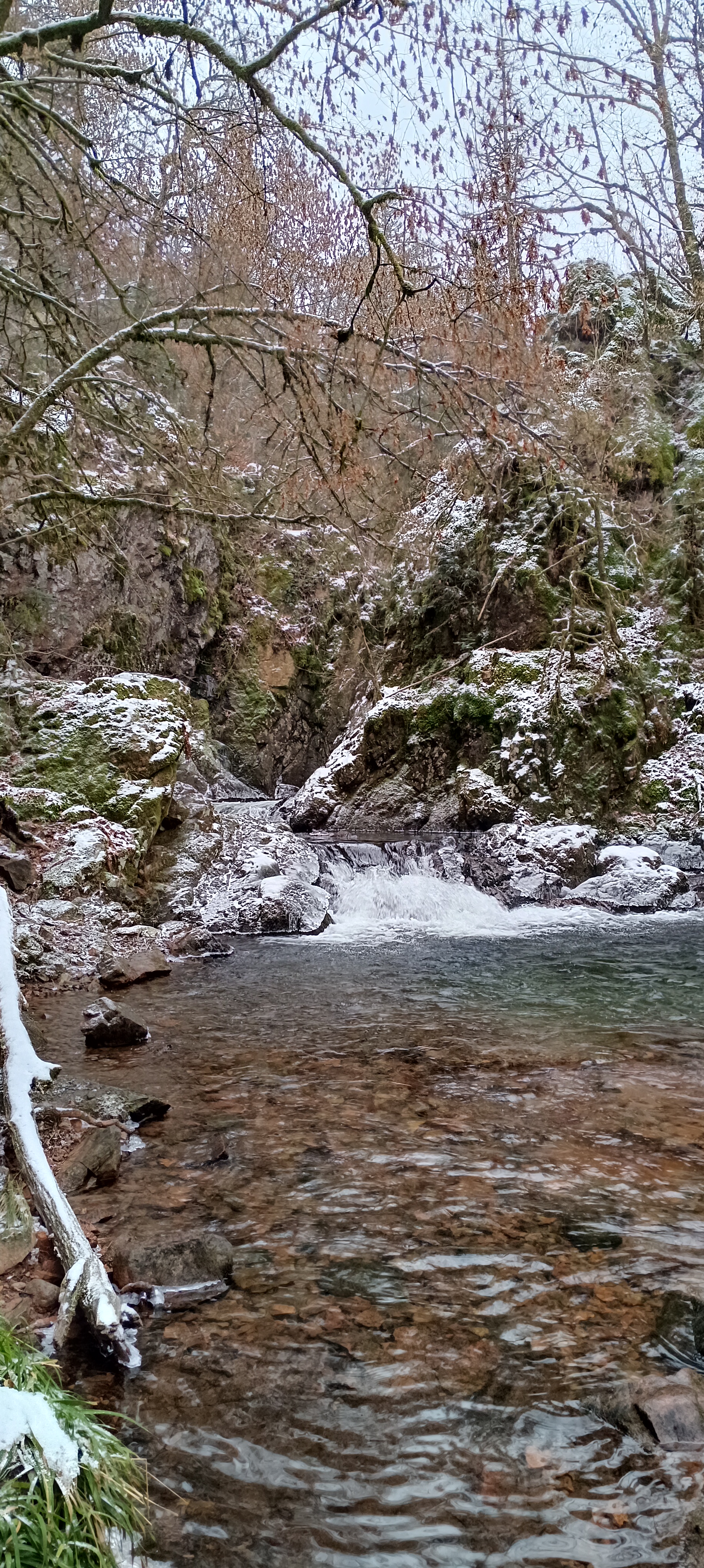 Photo n° 6 de l'avis de Hemery.a fait le 15/01/2024 à 15:40