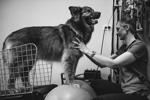 Canada West Veterinary Specialists & Critical Care Hospital