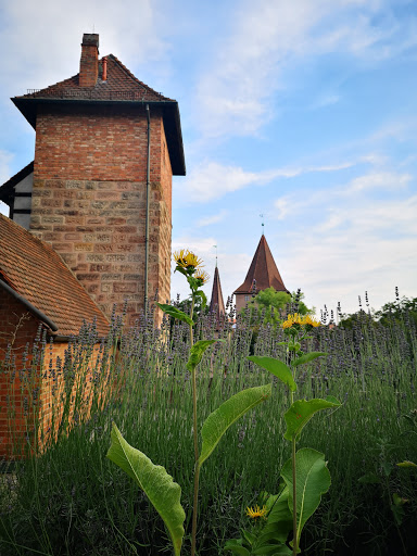 Heilkräutergarten am Hallertor