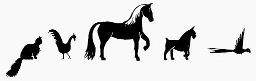 Pet Store «Pet Food Discounters», reviews and photos, 607 Woodbrook Dr, Charlottesville, VA 22901, USA