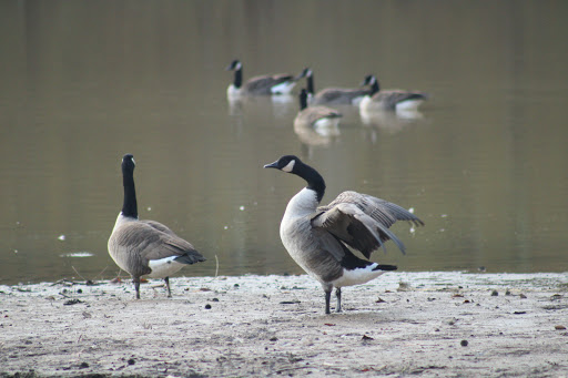 Park «Louise F Cosca Regional Park», reviews and photos, 11000 Thrift Rd, Clinton, MD 20735, USA