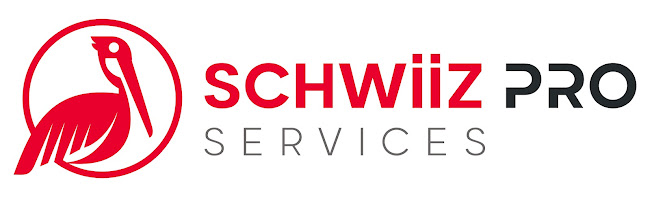 schwiiz-pro.ch