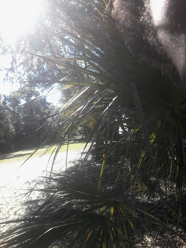 Park «North Water Tower Park», reviews and photos, 4700 Rilma Ave, Sarasota, FL 34234, USA