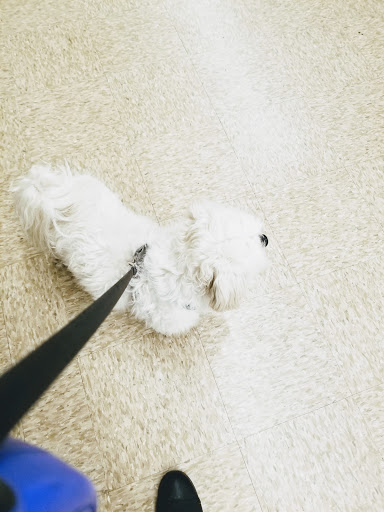 Pet Supply Store «PetSmart», reviews and photos, 3042 W Ridge Rd, Greece, NY 14626, USA