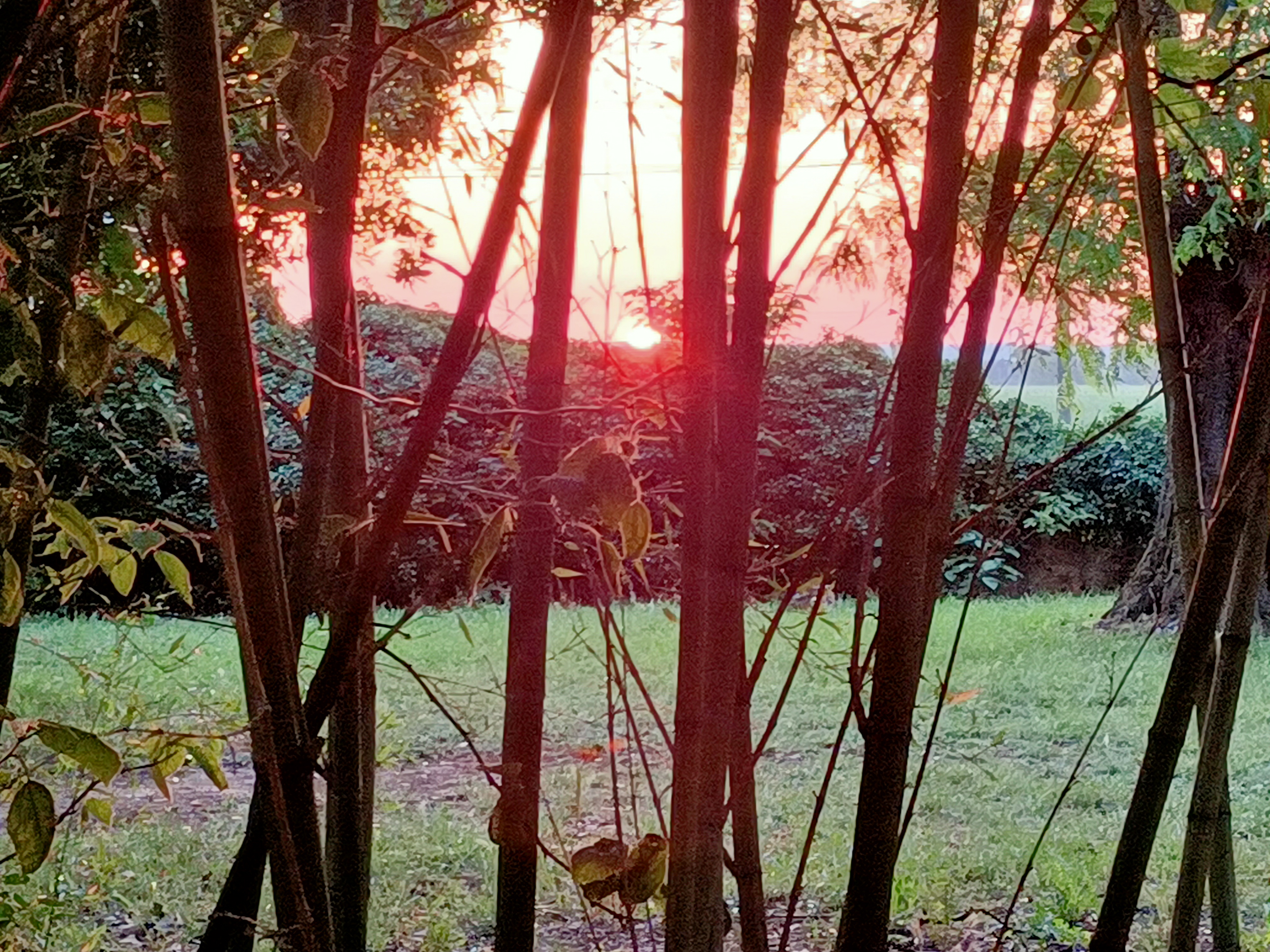 Photo n° 2 de l'avis de Gerard.E fait le 23/05/2023 à 05:43