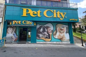 Pet City Κερατσίνι 1 image