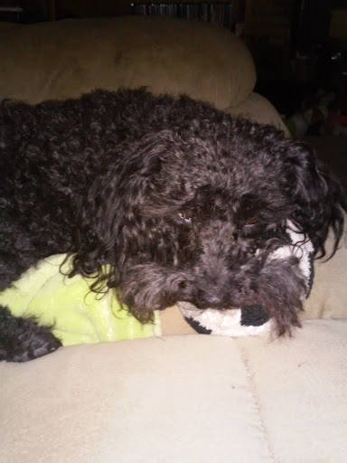 Auto Repair Shop «K & M Auto Service - Gresham», reviews and photos, 16116 NE Halsey St, Portland, OR 97230, USA