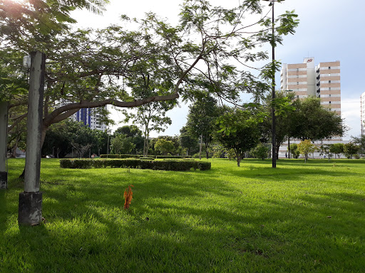 Parque Municipal do Idoso - Fundação Dr. Thomas