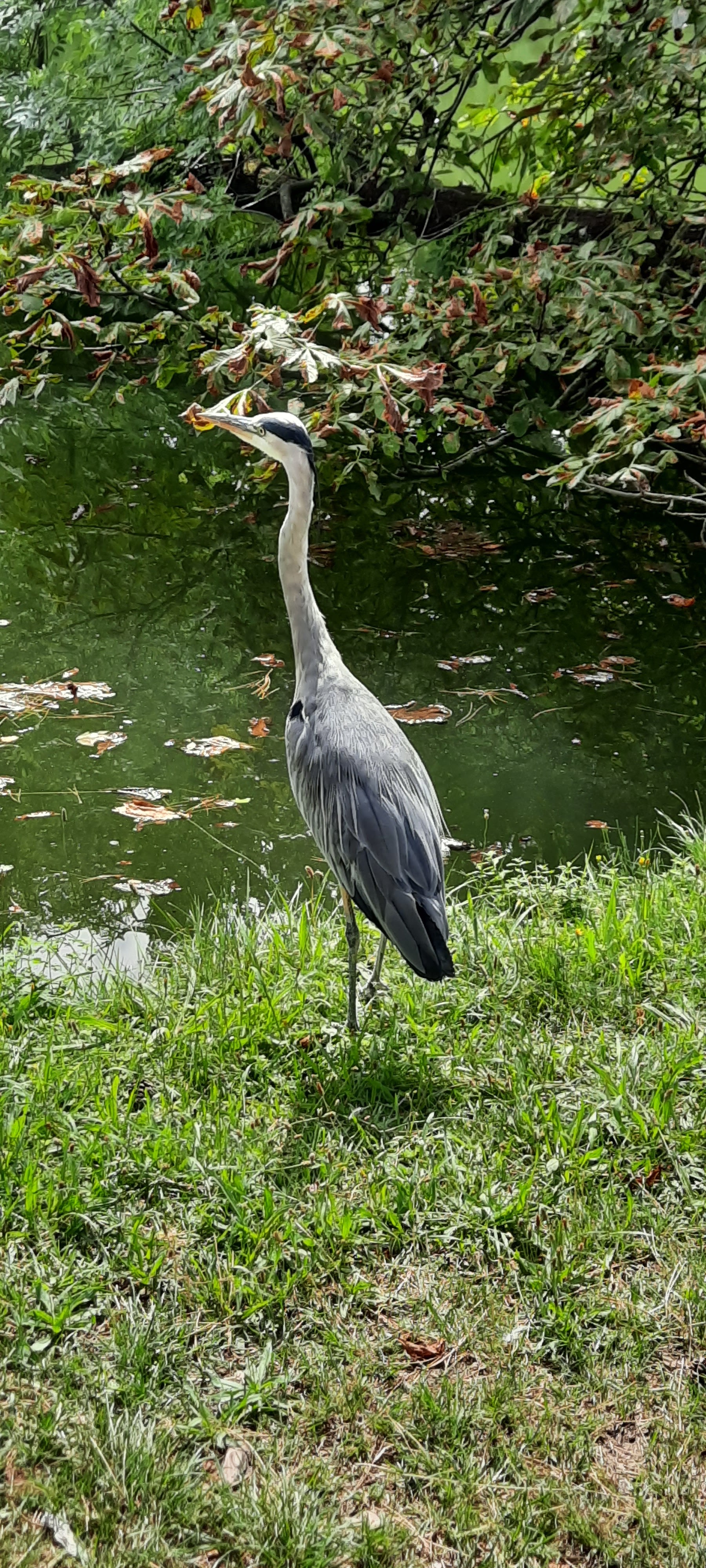 Photo n° 8 de l'avis de Val.r fait le 24/08/2020 à 15:09