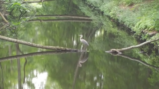 Park «Blackstone River State Park», reviews and photos, Lower River Rd, Lincoln, RI 02865, USA