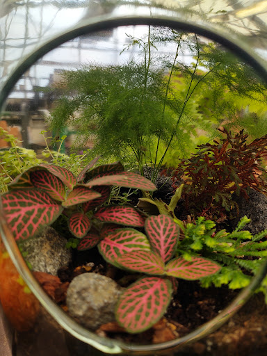 Garden Center «Merrifield Garden Center», reviews and photos, 12101 Lee Hwy, Fairfax, VA 22030, USA