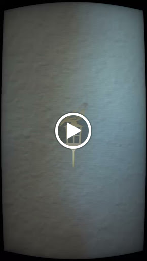 Tattoo Shop «Fallen Sparrow Tattoo Co», reviews and photos, 5049 W Irlo Bronson Memorial Hwy, Kissimmee, FL 34746, USA