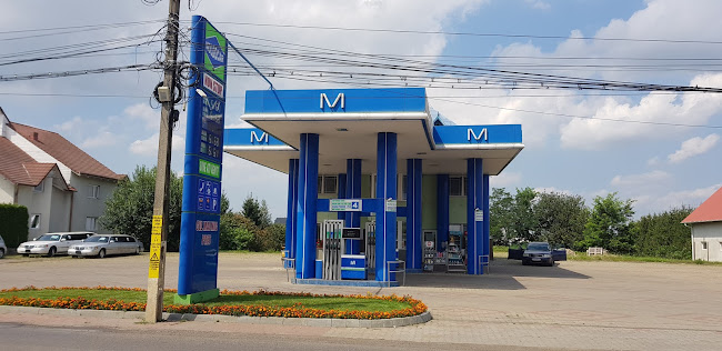 Opinii despre Moldocar în <nil> - Benzinărie
