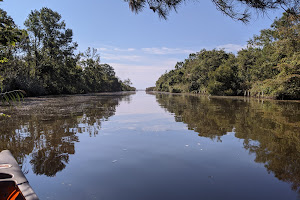 Princess Anne Wildlife Management Area Trojan Tract