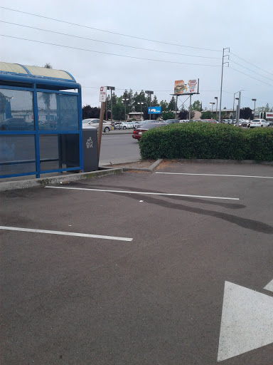 Car Rental Agency «Thrifty Car Sales of Sacramento», reviews and photos, 5710 Florin Rd A, Sacramento, CA 95823, USA