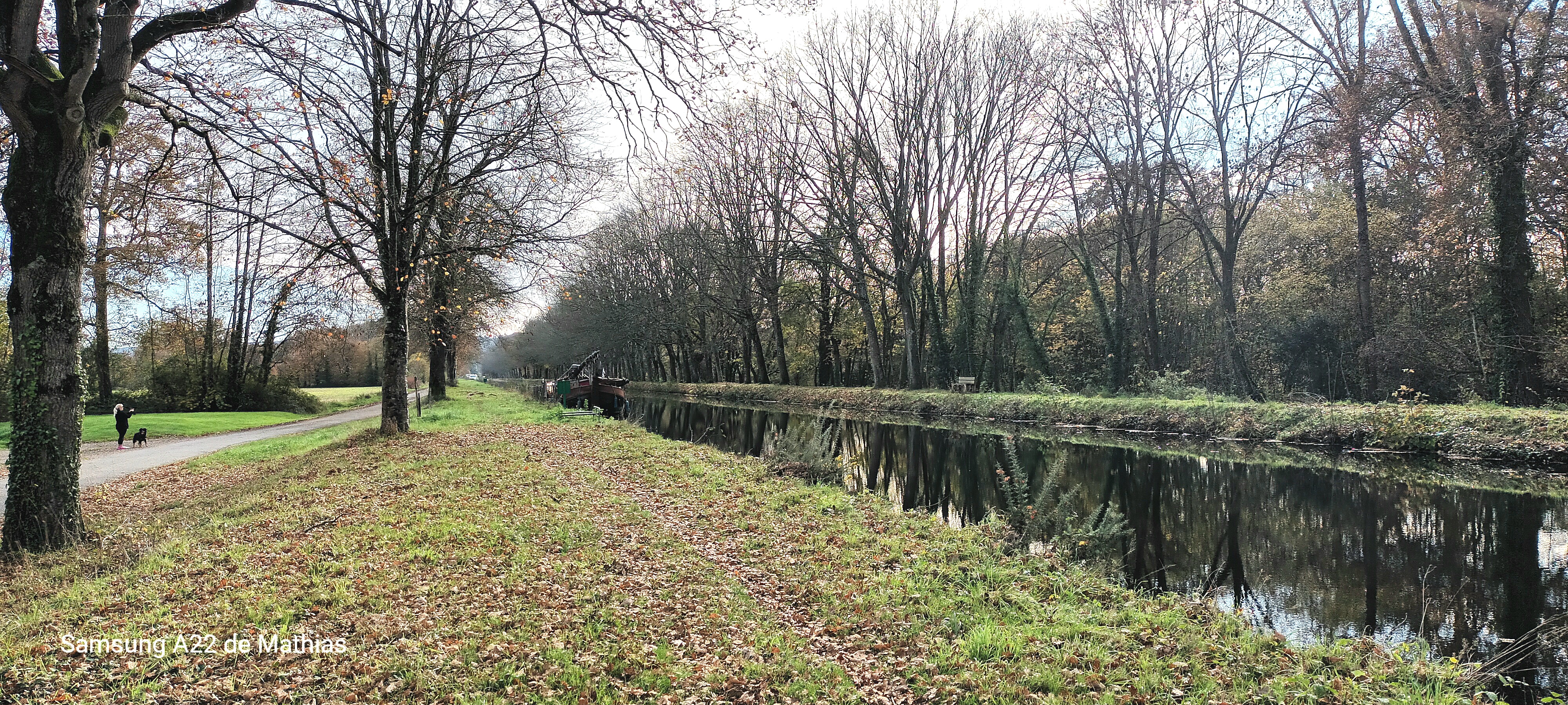 Photo n° 2 de l'avis de Mathias.e fait le 09/09/2023 à 17:27