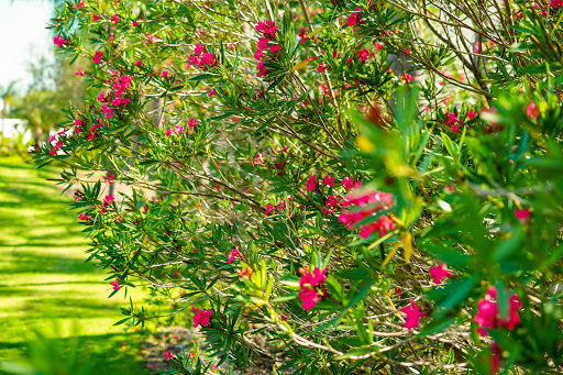 Golf Club «Tara Golf & Country Club», reviews and photos, 6602 Drewrys Bluff, Bradenton, FL 34203, USA