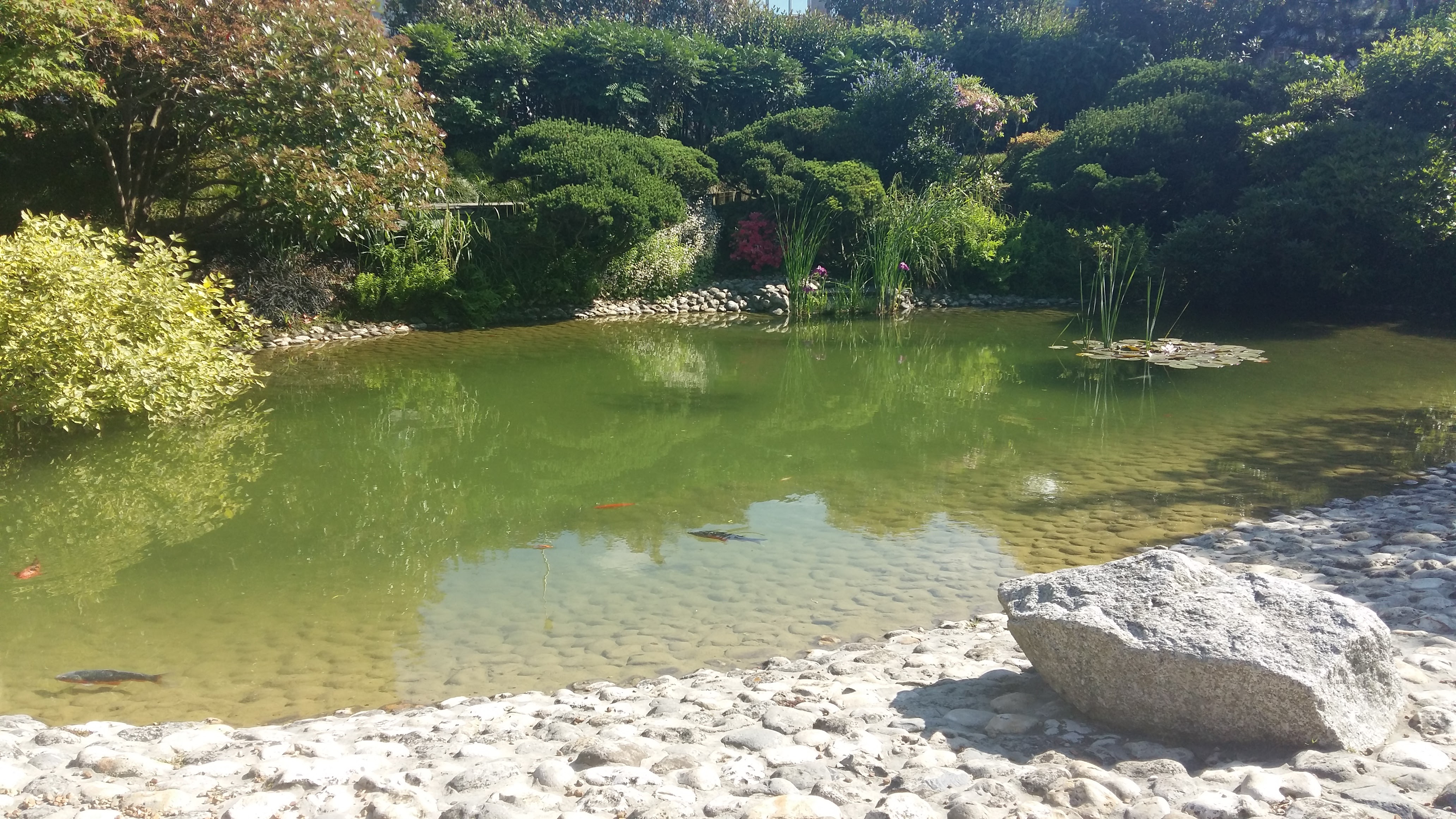 Photo n° 1 de l'avis de Claudia.e fait le 20/06/2017 à 06:40