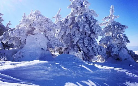 ELMADAĞ KAYAK KULÜBÜ image