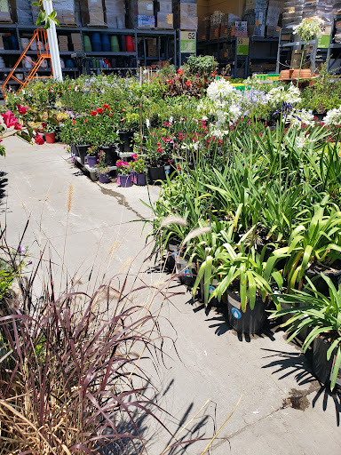 Home Improvement Store «The Home Depot», reviews and photos, 7121 Firestone Blvd, Downey, CA 90241, USA