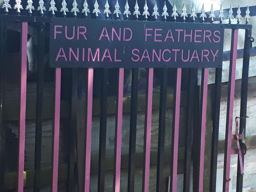 Fur and feathers animal sanctuary