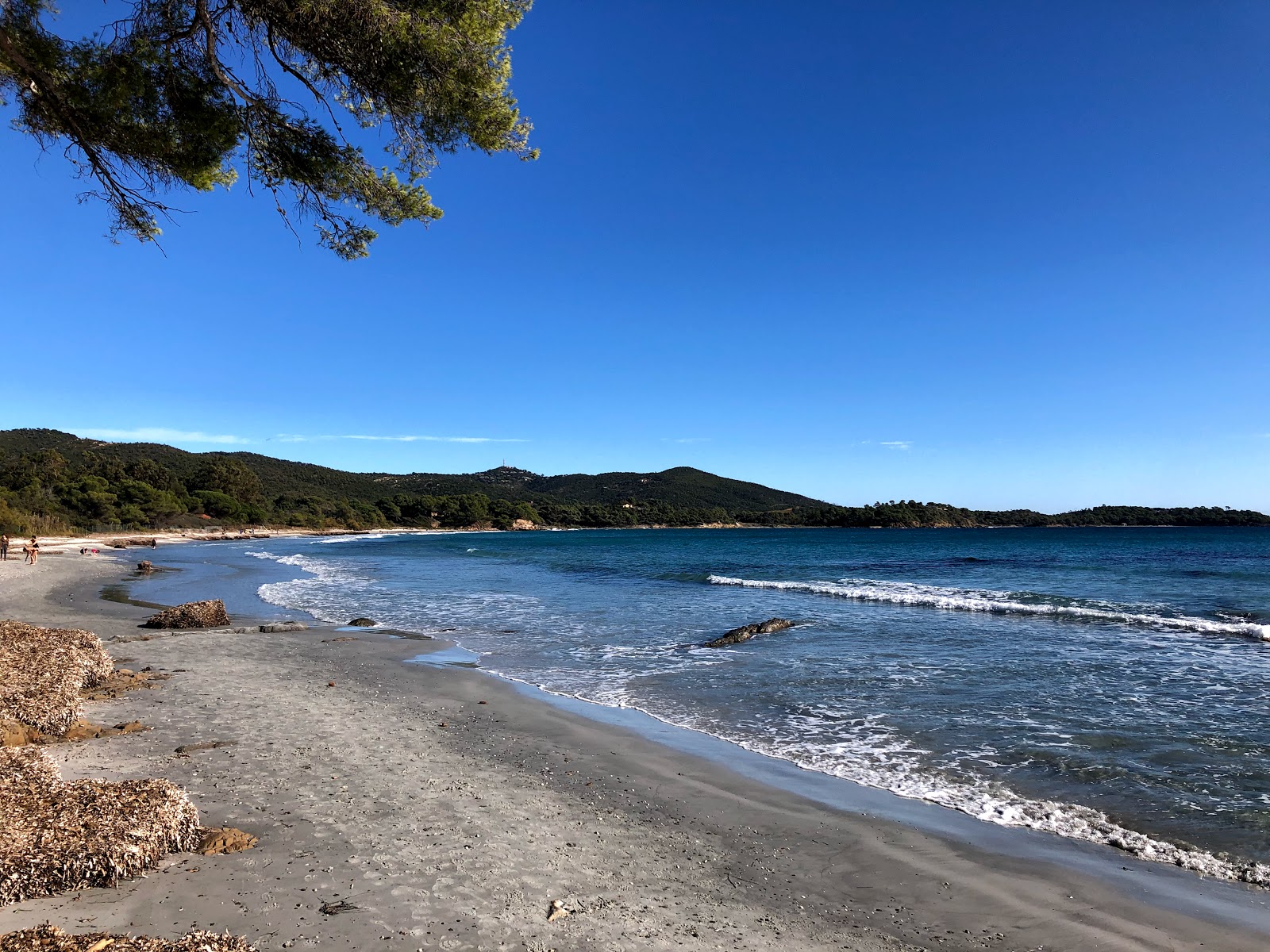 Foto di Large garden beach con costa lunga e dritta