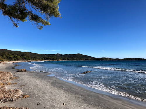 Large garden beach photo #2