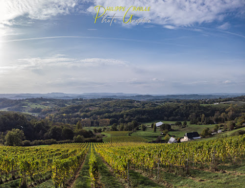 Vue sur le vignoble à Donzenac