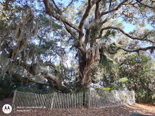 Historical Landmark «Old Baldy Lighthouse & Smith Island Museum», reviews and photos, 101 Light House Wynd, Bald Head Island, NC 28461, USA