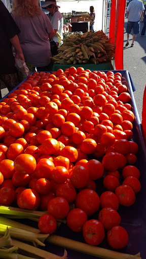 Shopping Mall «Village Shopping Center», reviews and photos, 625 Booth St, Reno, NV 89509, USA