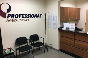 Professional Physical Therapy image
