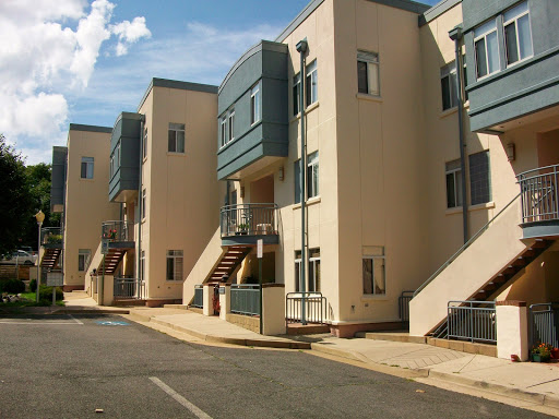 Painter «Williams Professional Painting», reviews and photos, 110 S Floyd St, Alexandria, VA 22304, USA