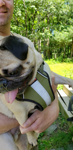 Pet Supply Store «Petco Animal Supplies», reviews and photos, 600 N Galleria Dr, Middletown, NY 10941, USA