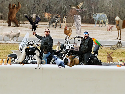 Cafe «Bread of Life Cafe», reviews and photos, 5369 US-127, Liberty, KY 42539, USA