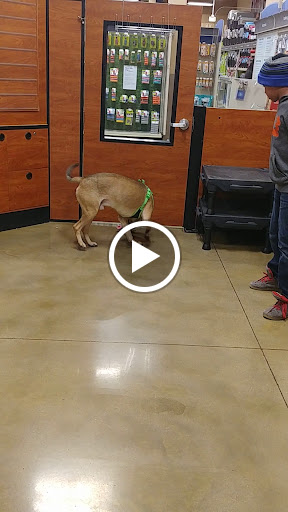 Pet Supply Store «PetSmart», reviews and photos, 4824 211th St, Matteson, IL 60443, USA
