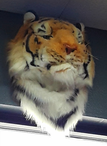 Tire Shop «Hunts Tire Pros & Car Care», reviews and photos, 10440 Greenwell Springs Rd, Baton Rouge, LA 70814, USA