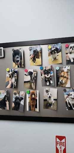 Pet Supply Store «PetSmart», reviews and photos, 215 N Burkhardt Rd, Evansville, IN 47715, USA