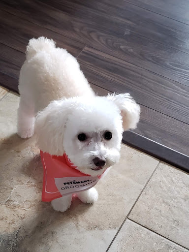 Pet Supply Store «PetSmart», reviews and photos, 4975 Cal Sag Rd, Crestwood, IL 60445, USA