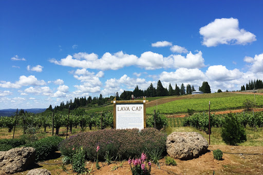 Winery «Lava Cap Winery», reviews and photos, 2221 Fruitridge Rd, Placerville, CA 95667, USA